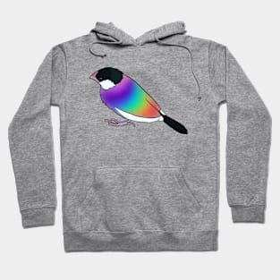 Rainbow Bird Hoodie